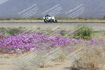 media/Feb-04-2023-SoCal Trackdays (Sat) [[8a776bf2c3]]/Turn 15 Inside Blooming (1050am)/